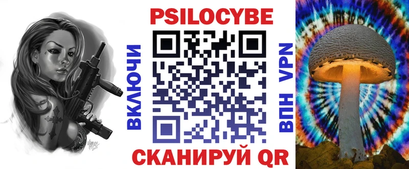 МЕГА зеркало  купить наркоту  Отрадное  Псилоцибиновые грибы Magic Shrooms 