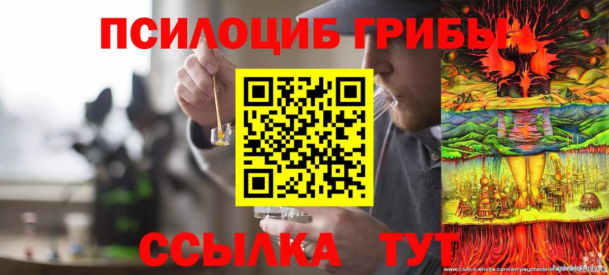 Отрадное  Псилоцибиновые грибы Psilocybine cubensis  Вход с VPN  Псилоцибиновые грибы Psilocybe 
