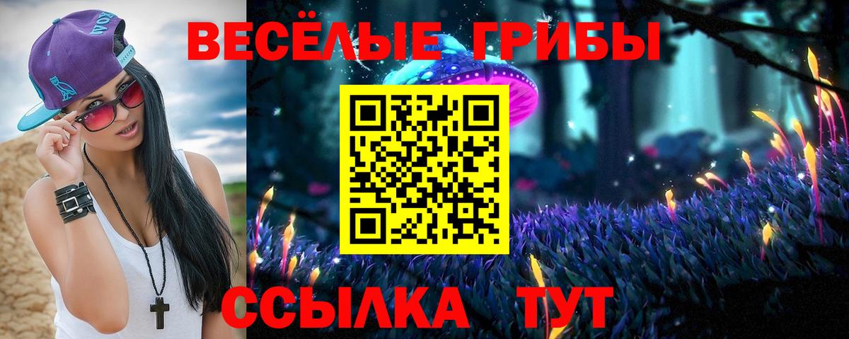 Галлюциногенные грибы Psilocybine cubensis Отрадное